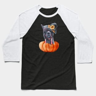 Cute Llama Halloween LLama Alpaca Halloween Pumpkin Funny Baseball T-Shirt